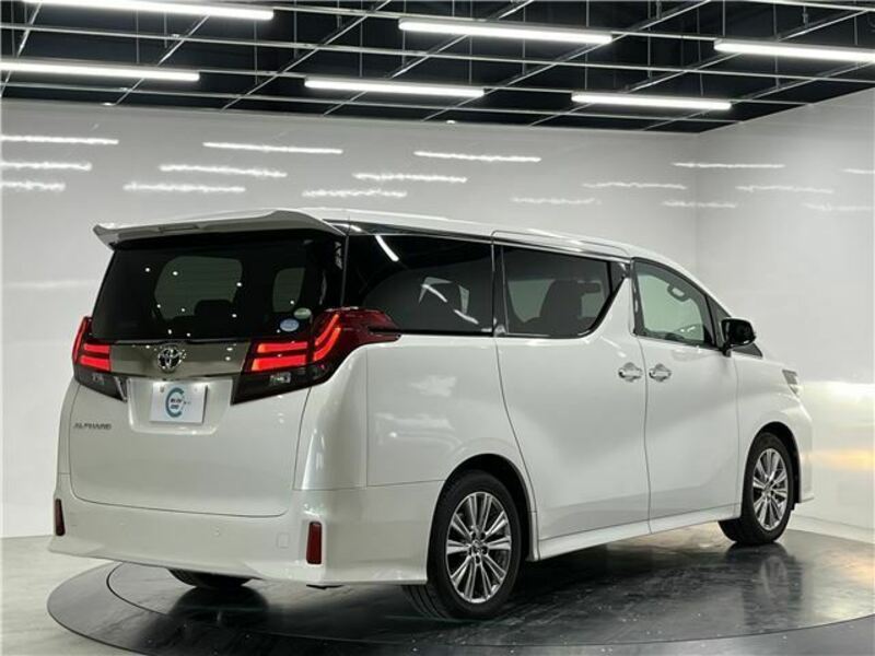 ALPHARD-17