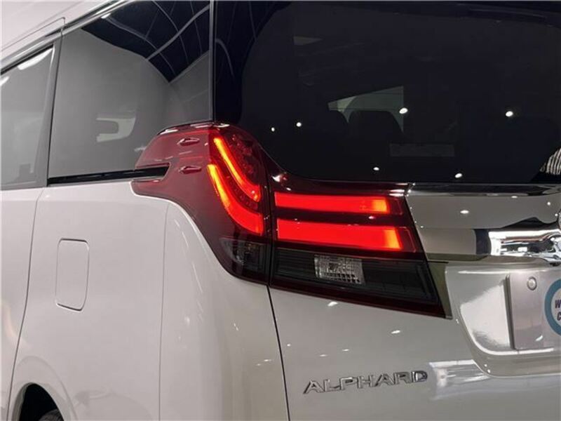 ALPHARD-19