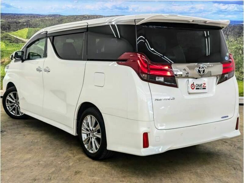 ALPHARD-19