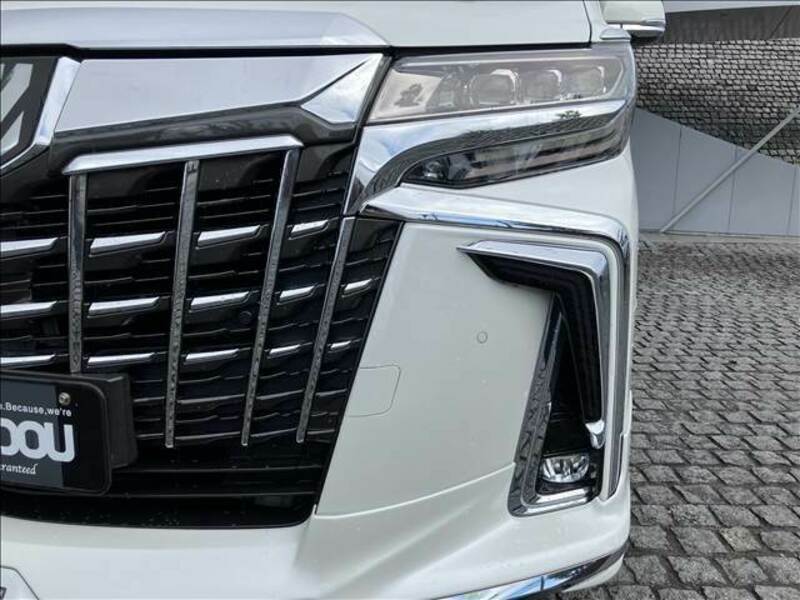 ALPHARD-7