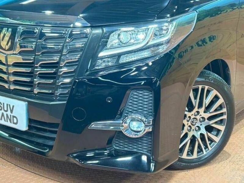 ALPHARD-13