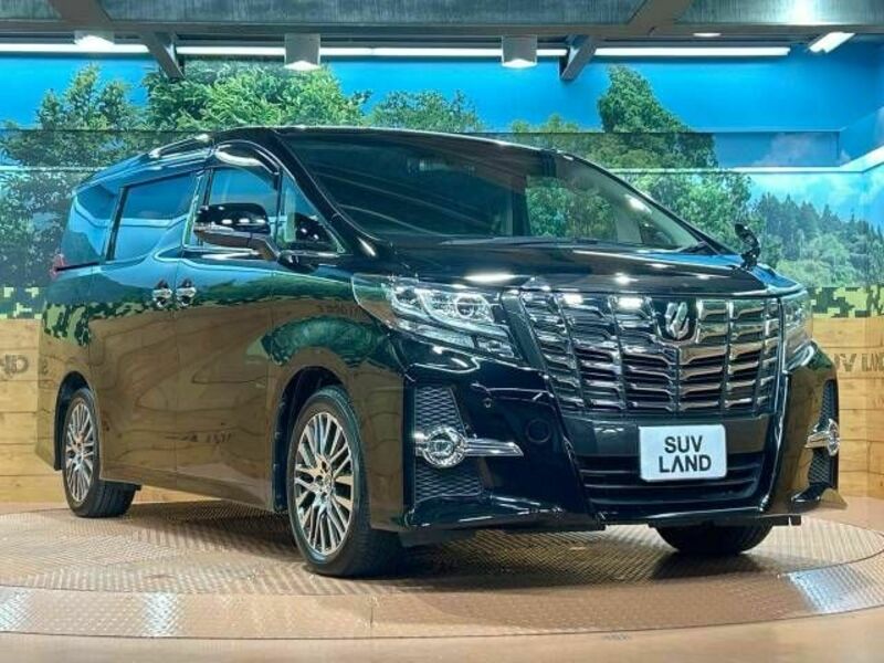 ALPHARD-17