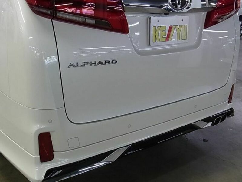 ALPHARD-28