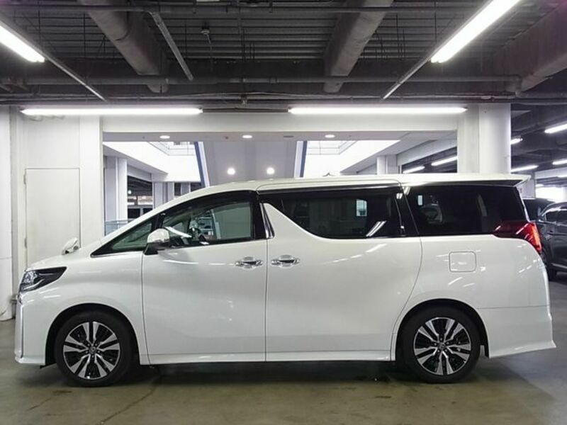 ALPHARD-8