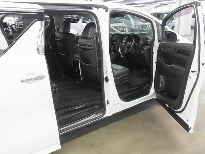 ALPHARD-10