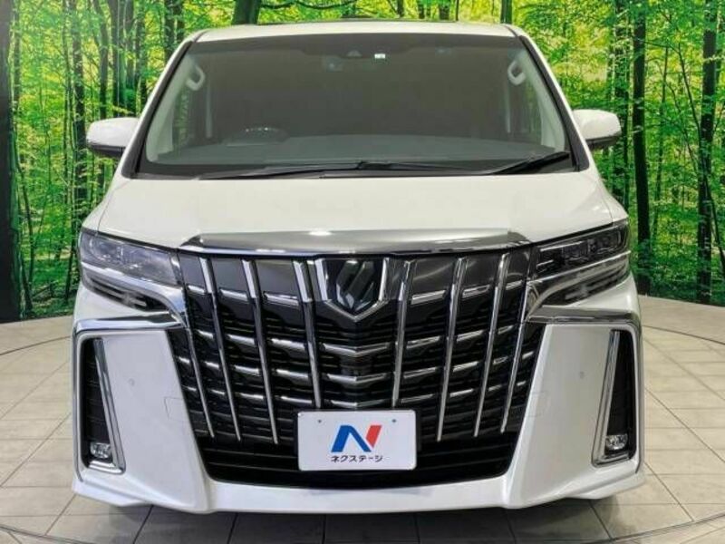 ALPHARD-16