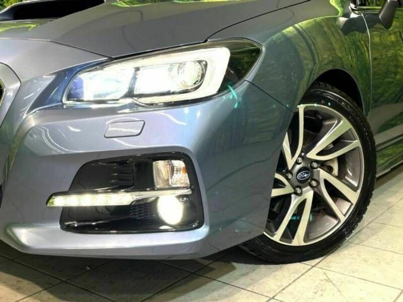 LEVORG