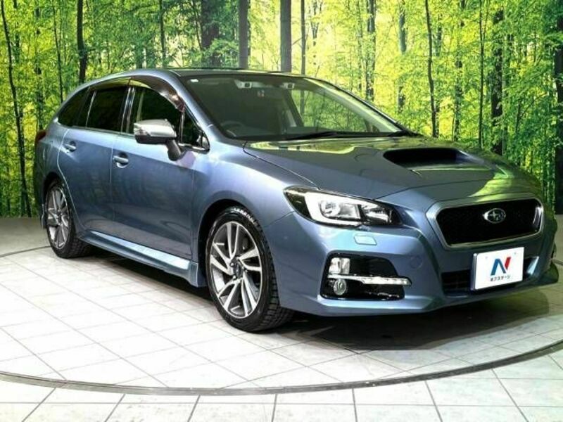 LEVORG