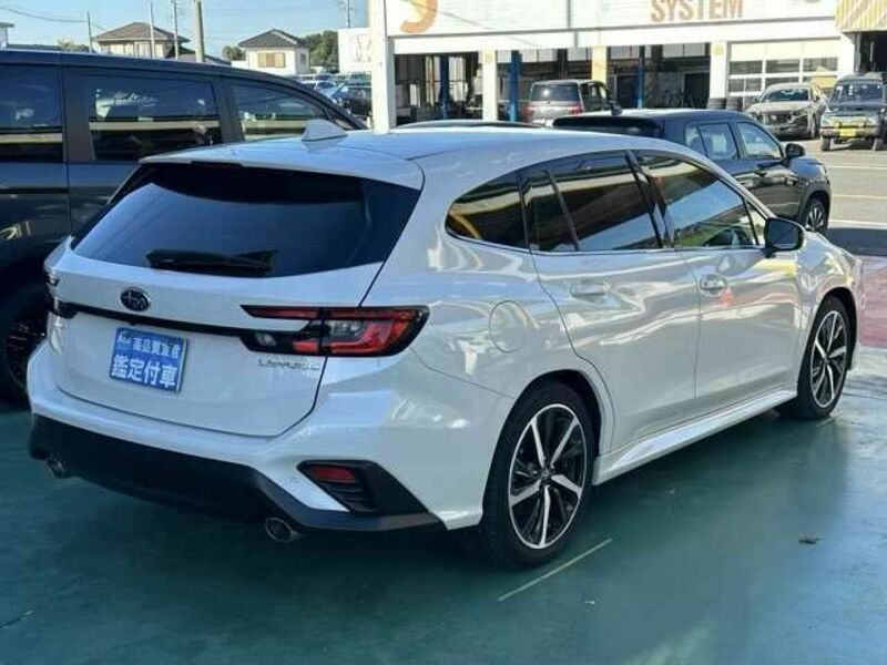 LEVORG