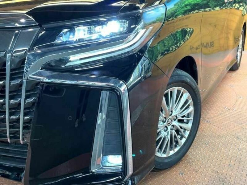 ALPHARD-15