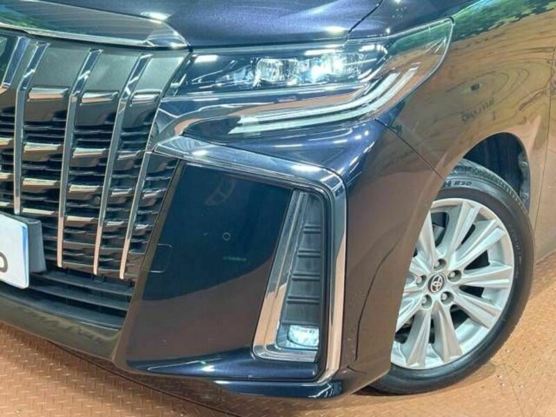 ALPHARD-12