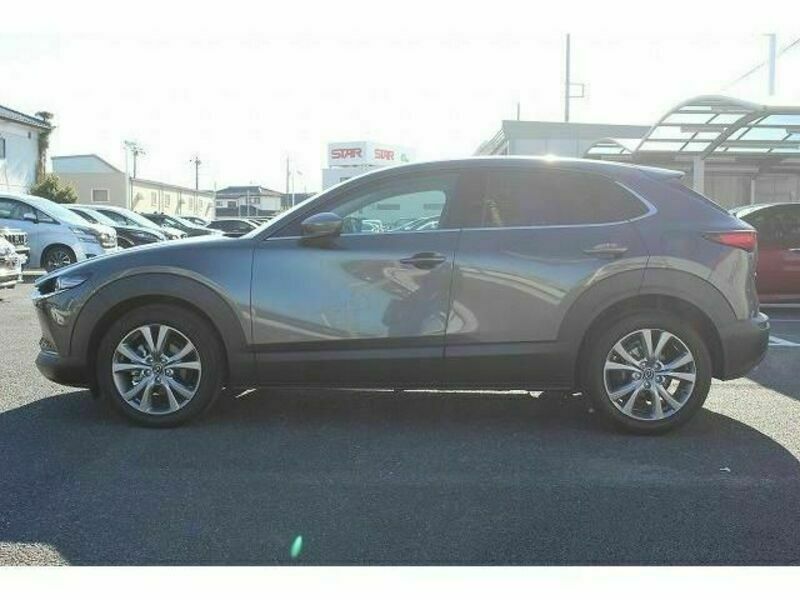 CX-30