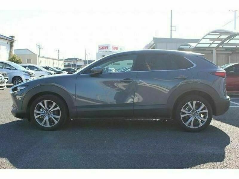 CX-30