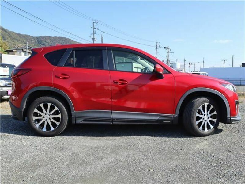 CX-5-19