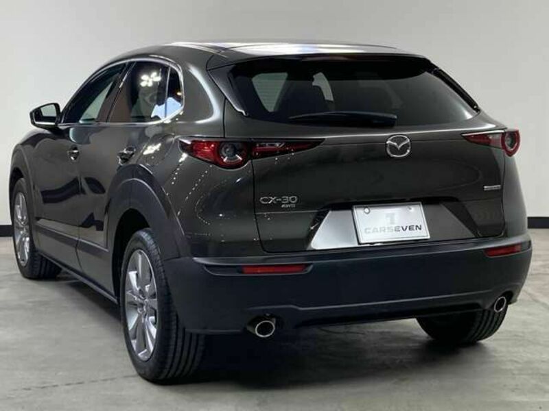 CX-30