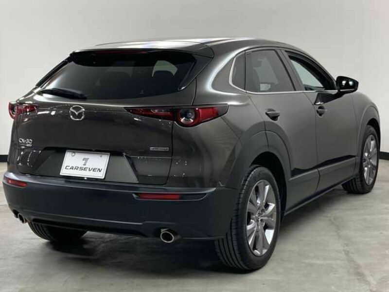 CX-30