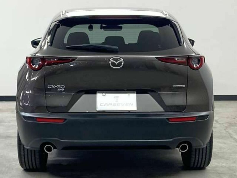 CX-30