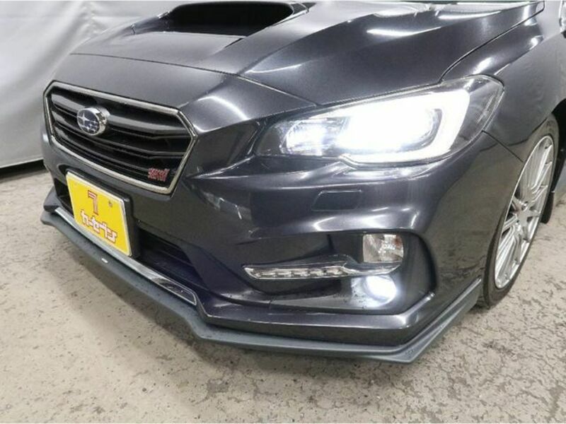 LEVORG