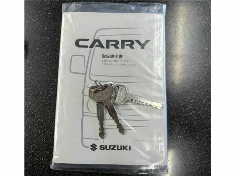 CARRY TRUCK