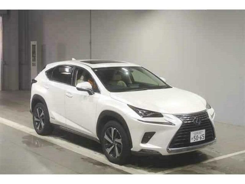 LEXUS NX