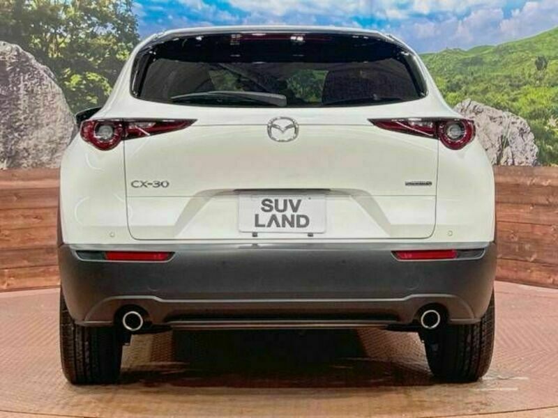 CX-30