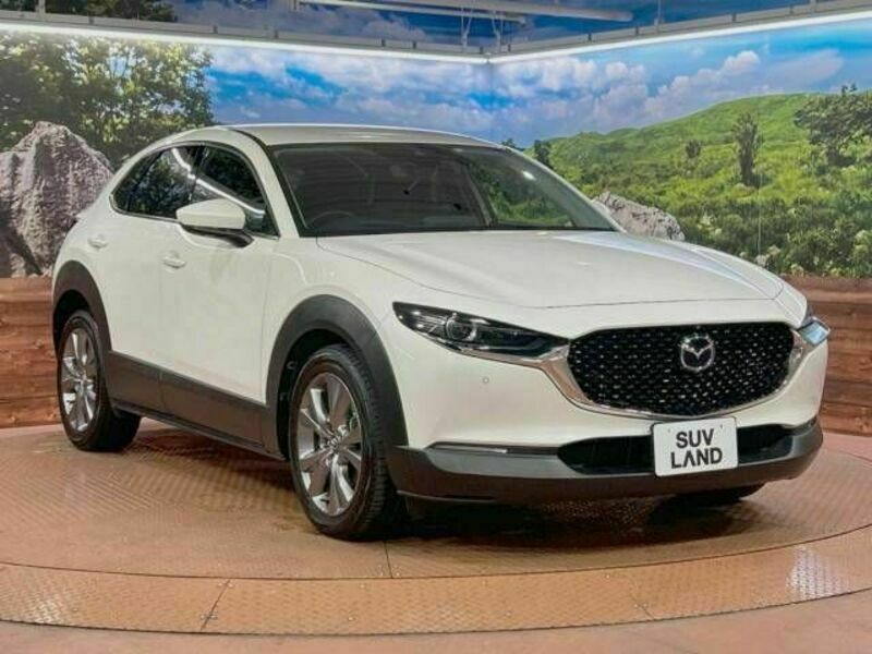 CX-30