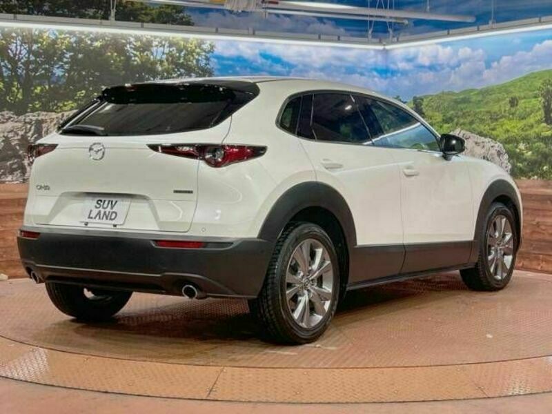 CX-30