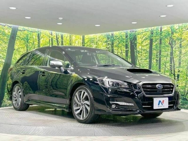 LEVORG