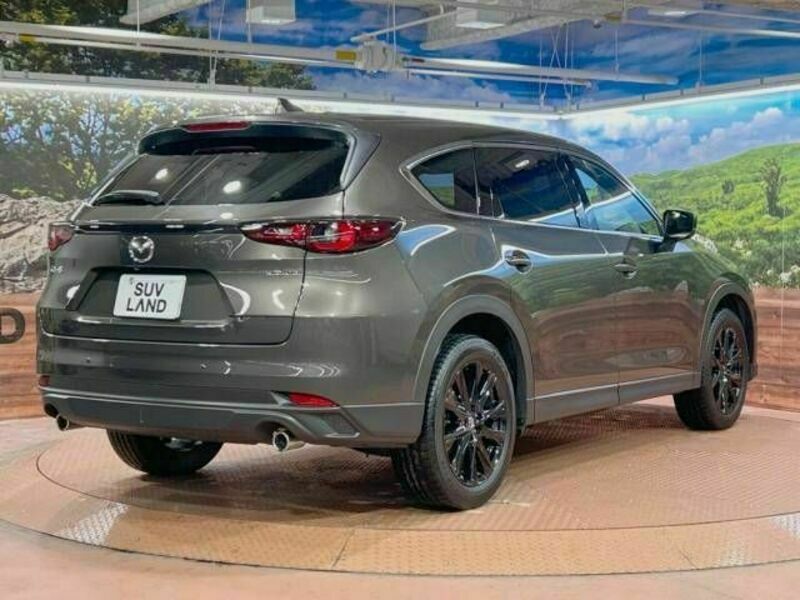 CX-8