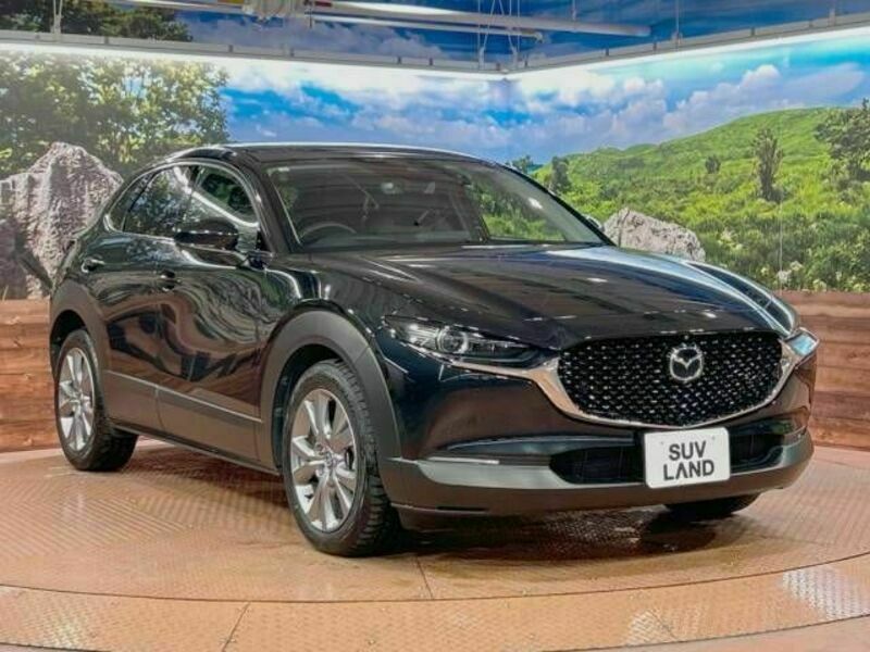 CX-30