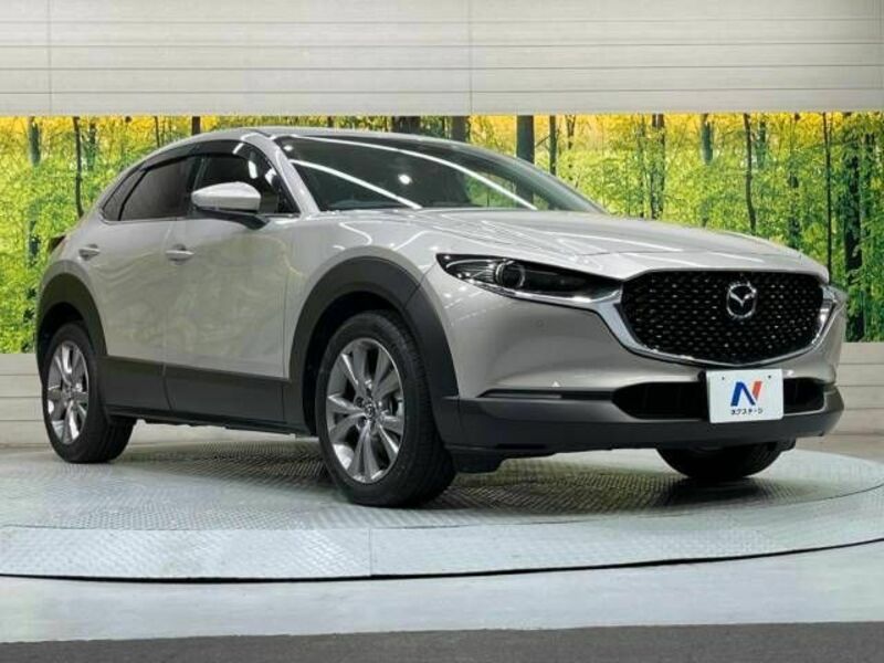 CX-30