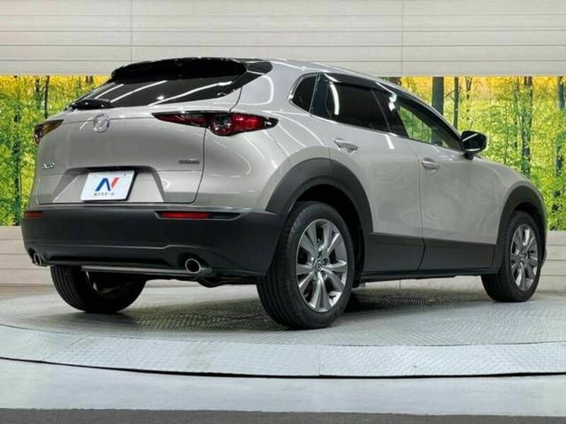 CX-30