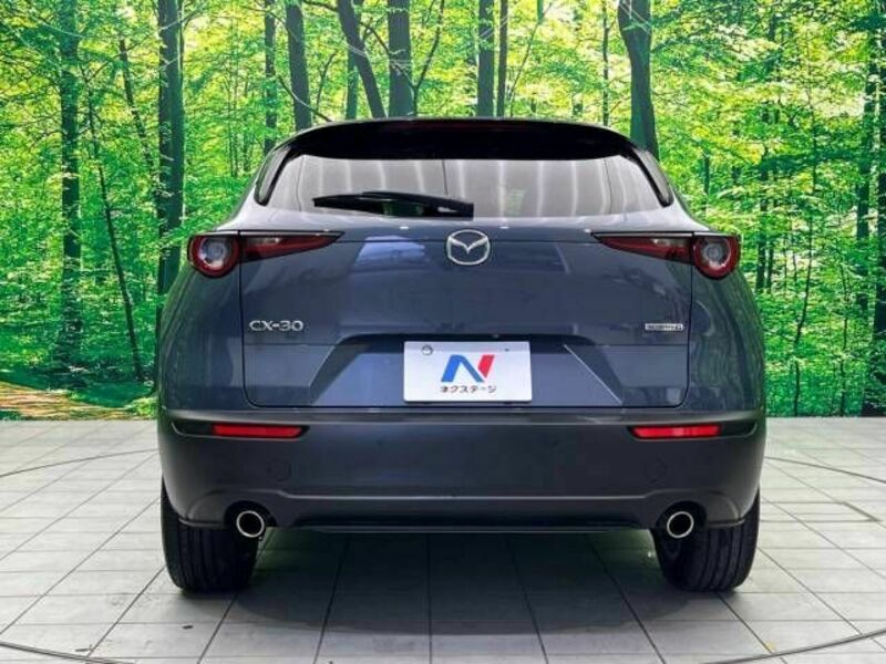 CX-30