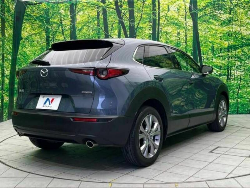 CX-30