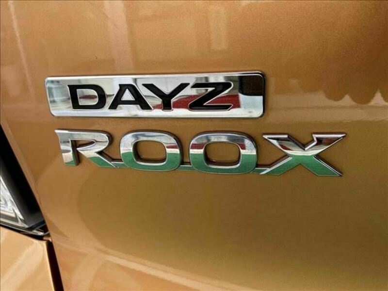 DAYZ ROOX