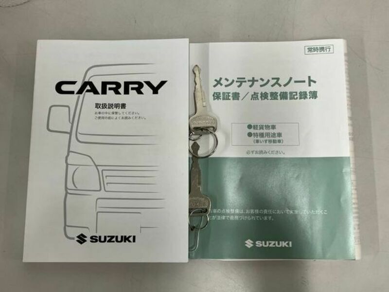 CARRY TRUCK