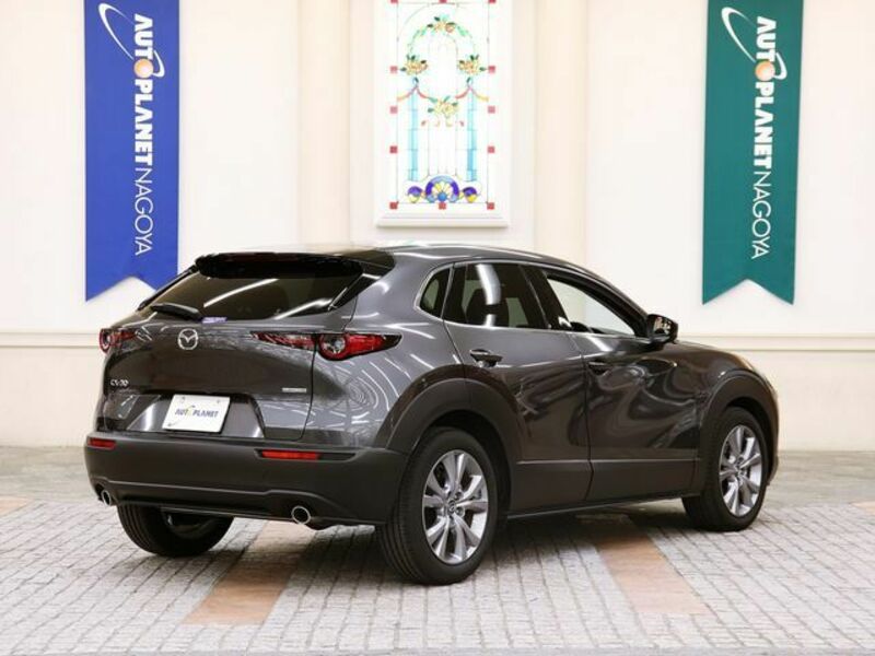 CX-30