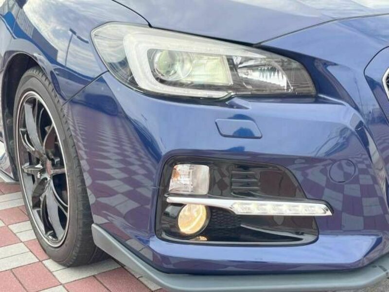 LEVORG