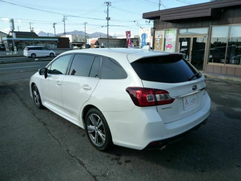 LEVORG