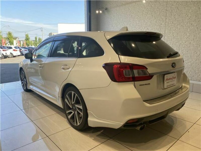 LEVORG