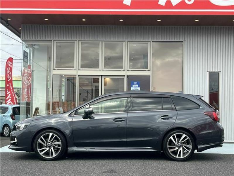 LEVORG