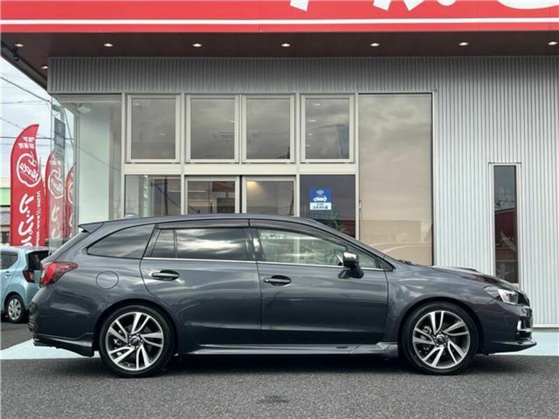 LEVORG