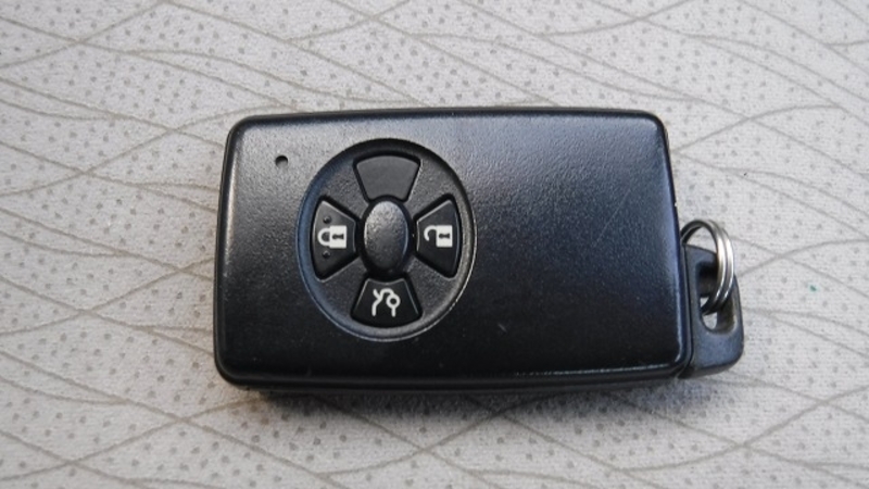 BELTA