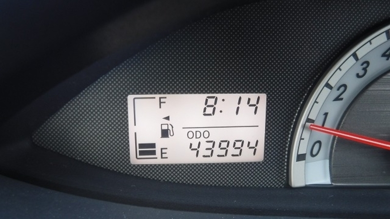 BELTA