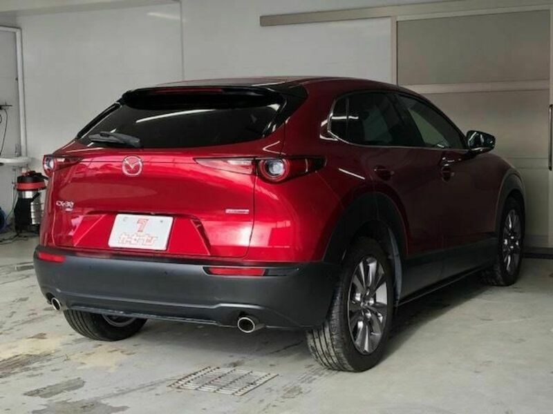 CX-30