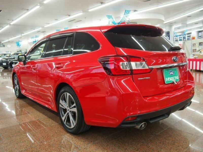 LEVORG