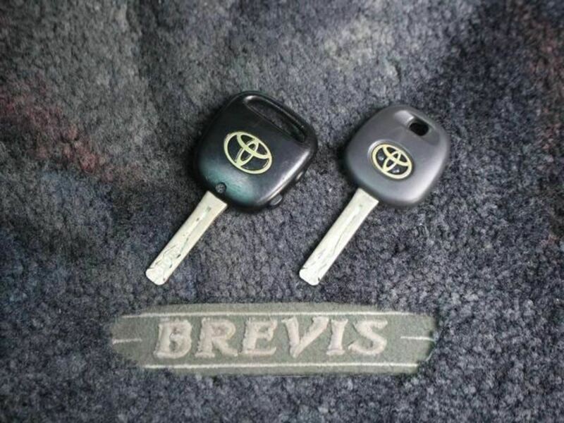 BREVIS