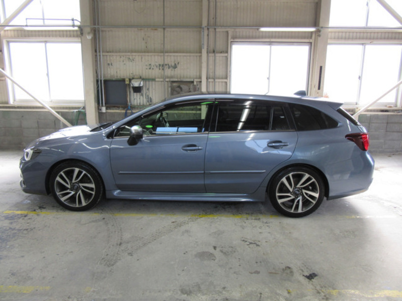 LEVORG