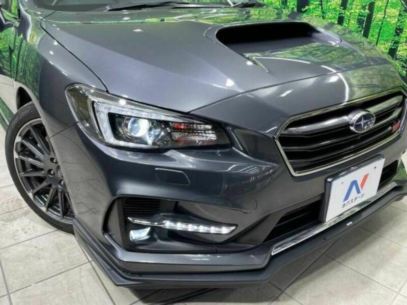 LEVORG