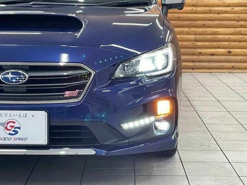 LEVORG